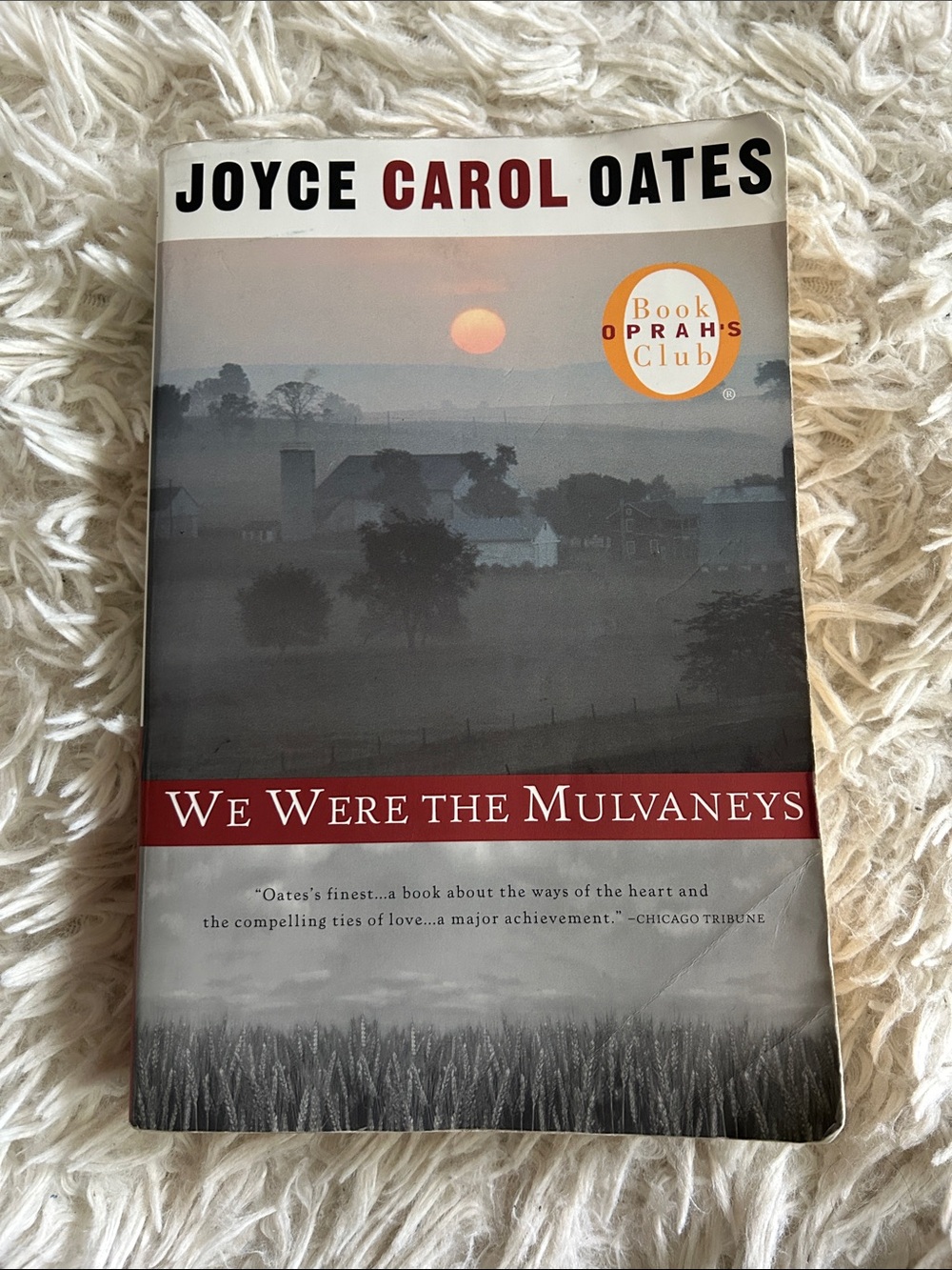 "We Were the Mulvaneys" - by Joyce Carol Oates, Red and Black paperback